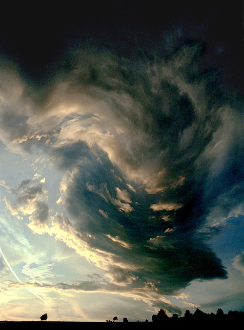 Jabucko ravaniste 1993