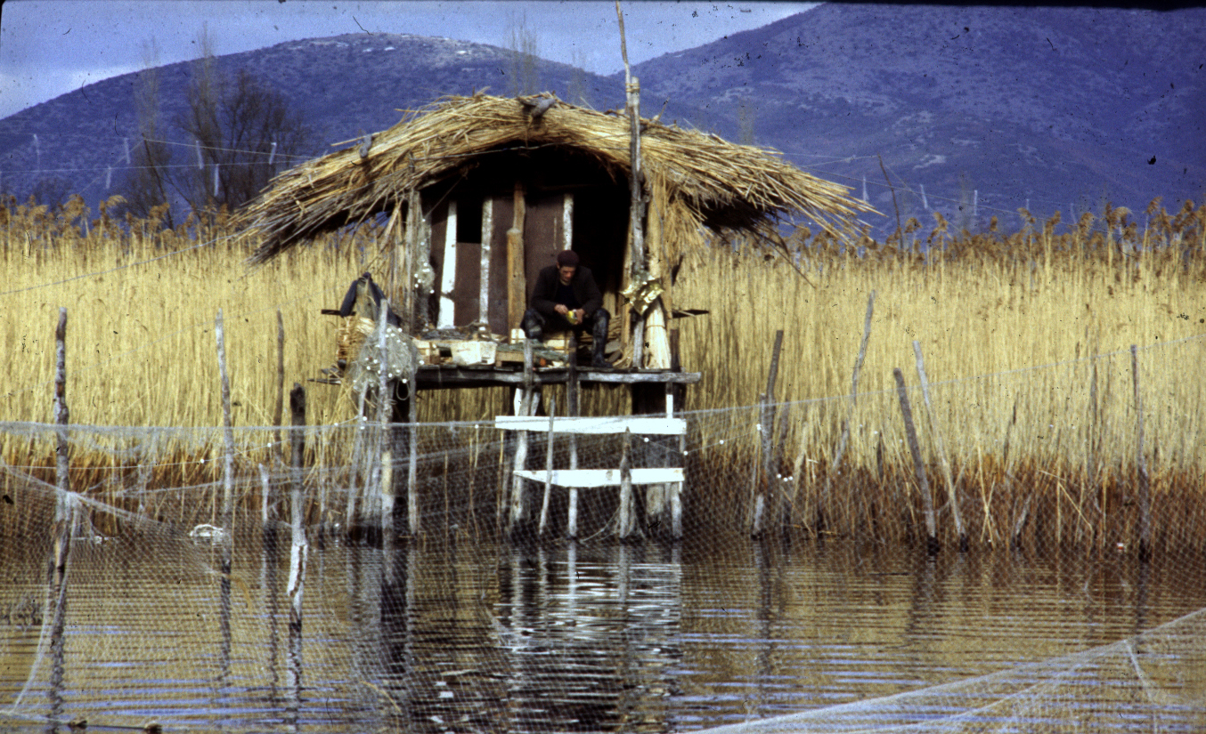 Dojranska ribarska sojenica