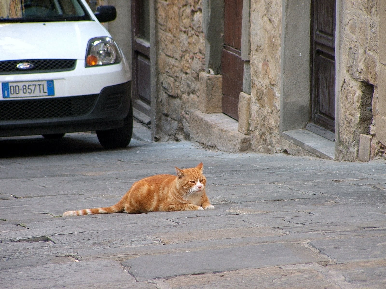 Voltera: Macak Volter, 17. Sept. 2007