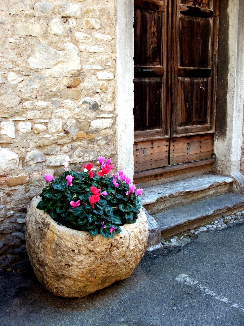 Beluno: ciklame, 22. sept. 2007.