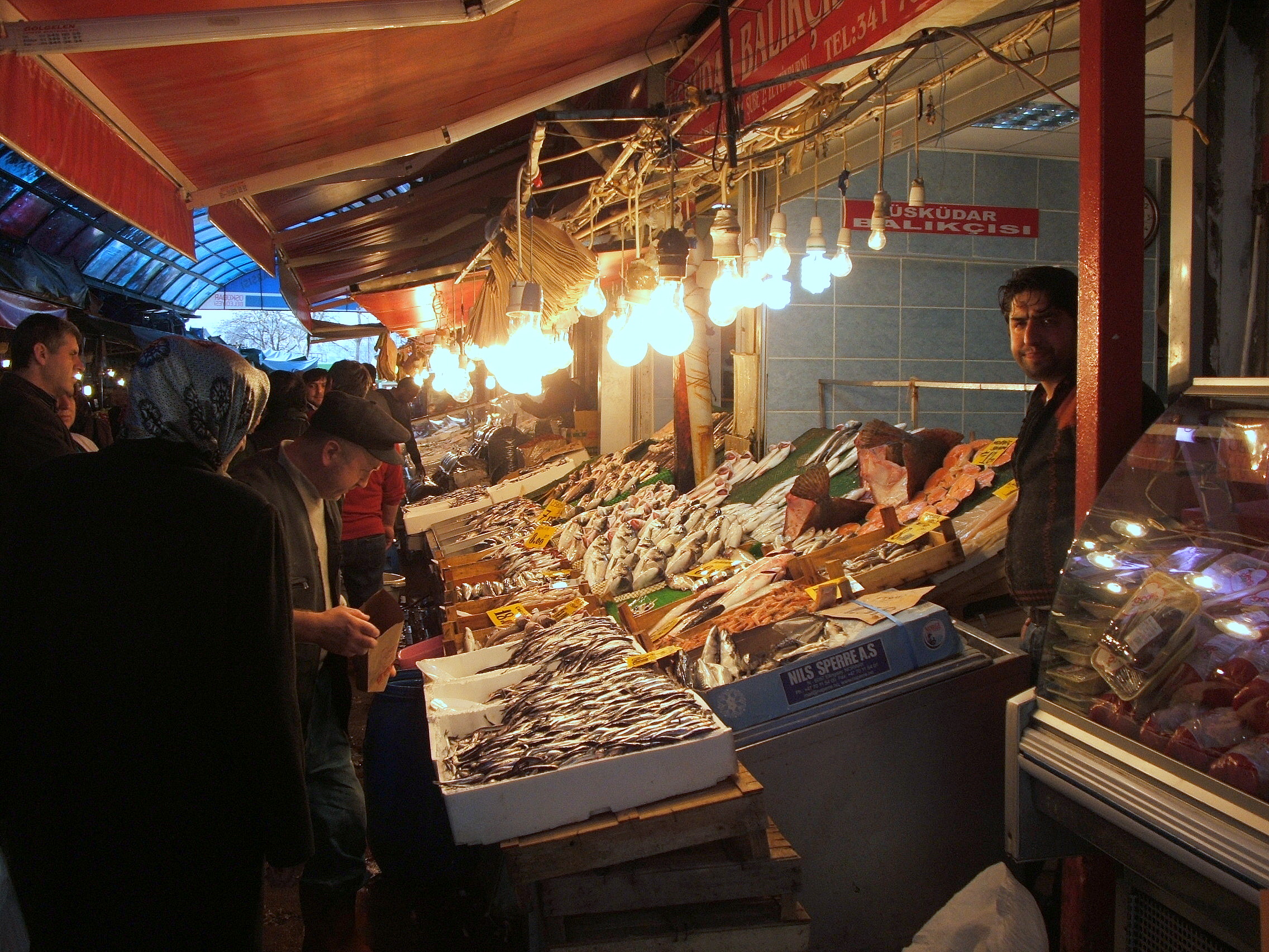 Carigrad 1Apr2010: Iskidar (Skadar): ribarnica