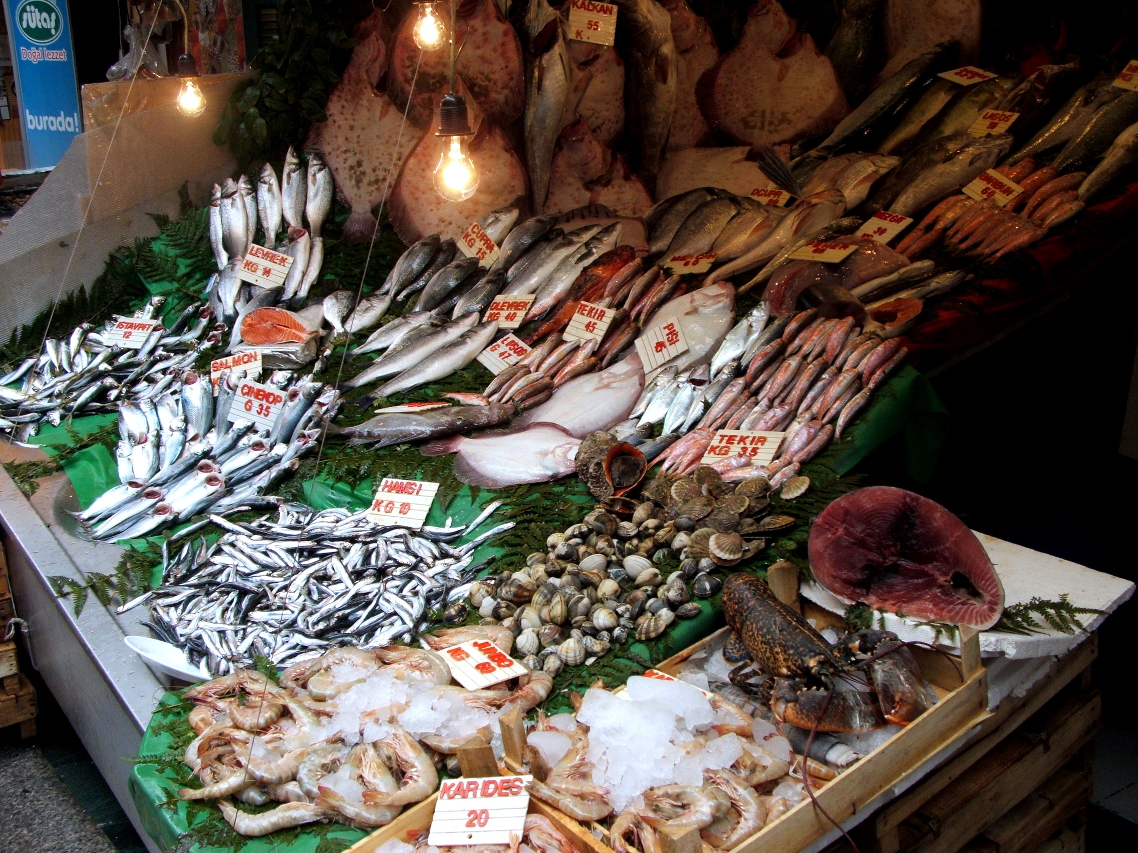 Carigrad 2Apr2010: Cicek-pasaz: Balik-pazar