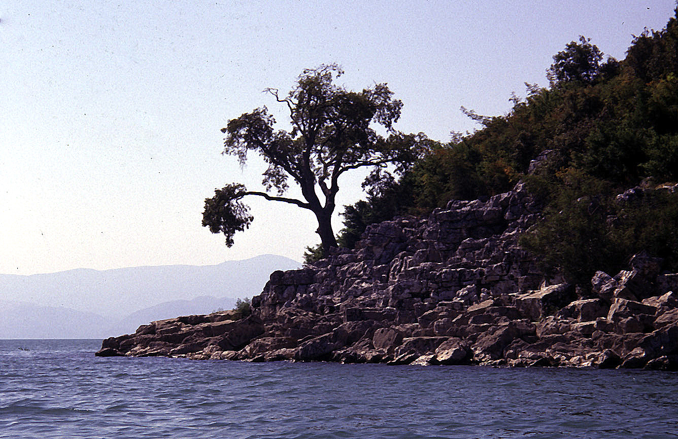 KOSCELA PetrovaPontaKoscela-2