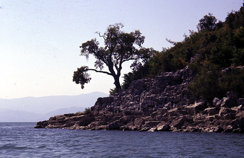 KOSCELA PetrovaPontaKoscela-2