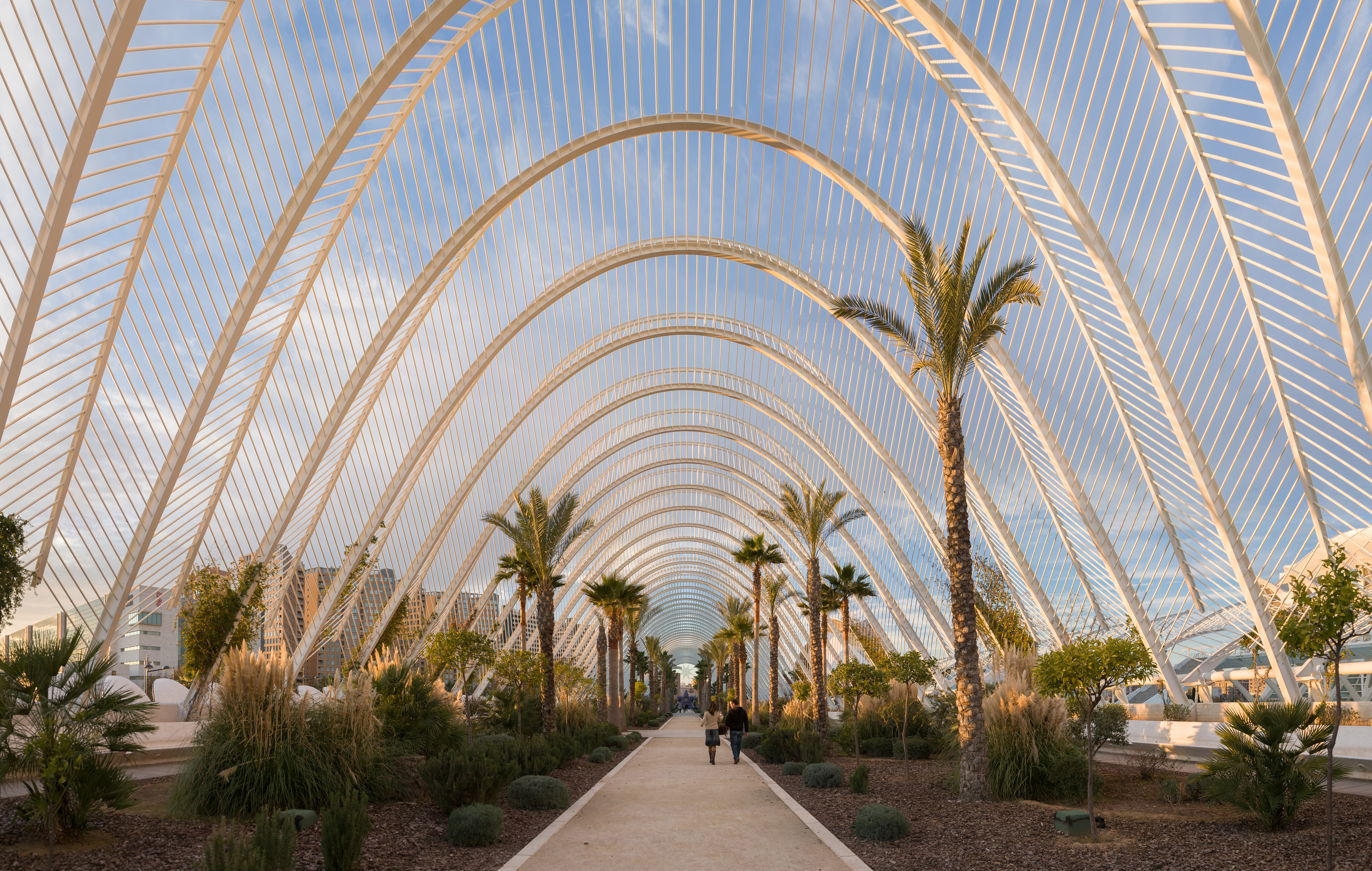 L'Umbracle,_Valencia,_Spain_-_Jan_2007