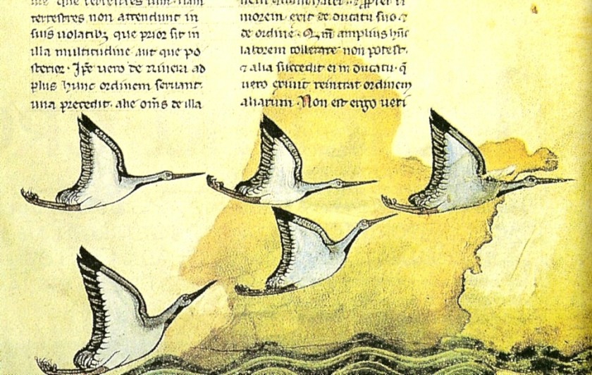 De_Arte_Venandi_com_Avibus