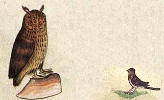 De_arte_venandi_cum_avibus4