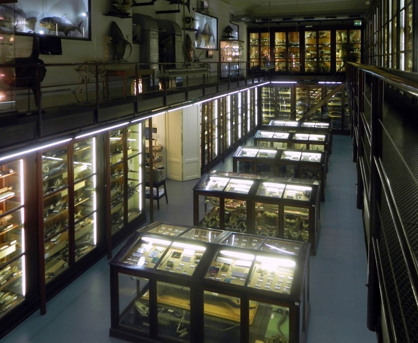 DoderleinPalermo13 108