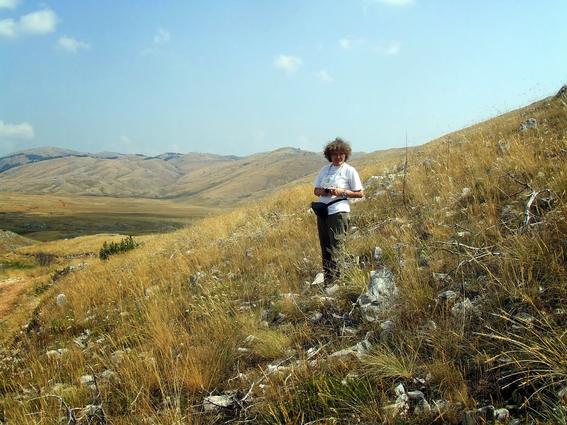 LOKVARENJE, S OSVRTOM NA POJAVU&nbsp;BOGA