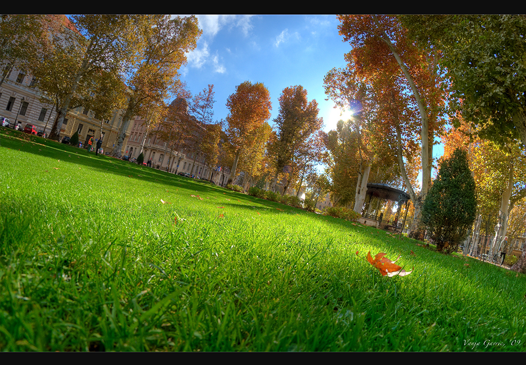 Vanja_Gavrić_Autumn_in_Zrinjevac_Zagreb