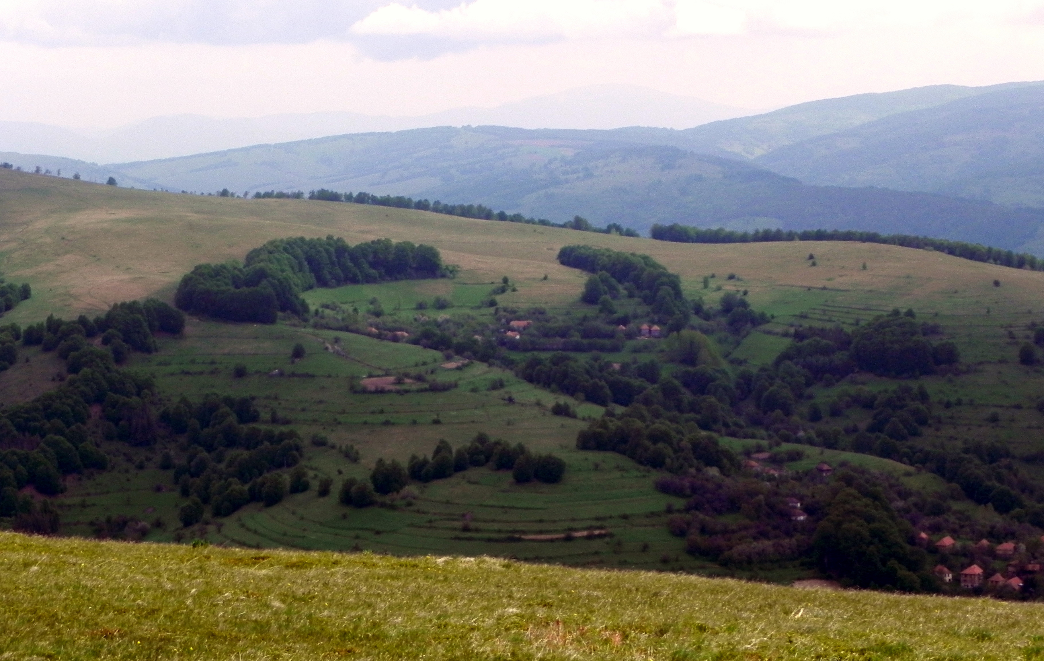VlasinaMaj2010 008