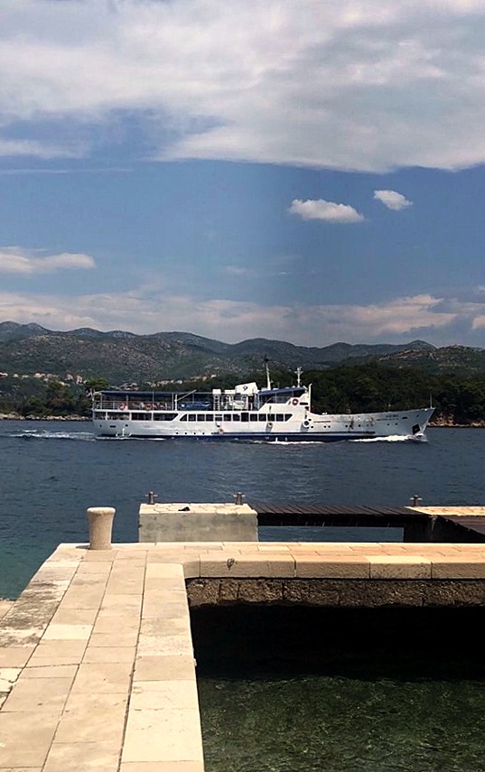 117610628_2746184055481335_2627676052284311383_n