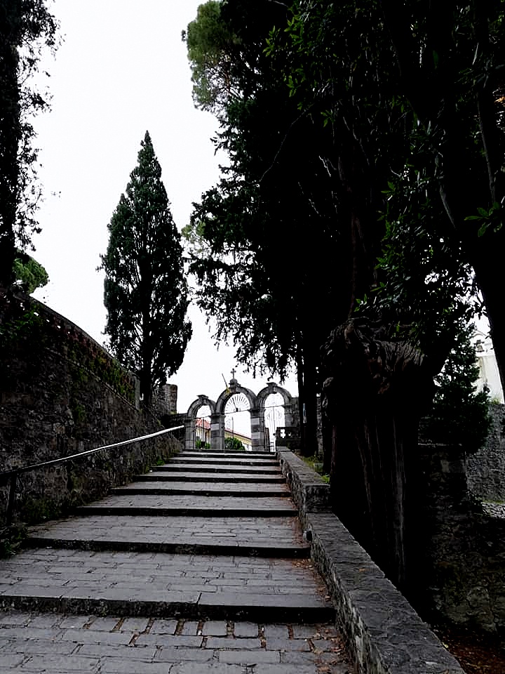 64907434_2484377231607458_357632009658433536_n