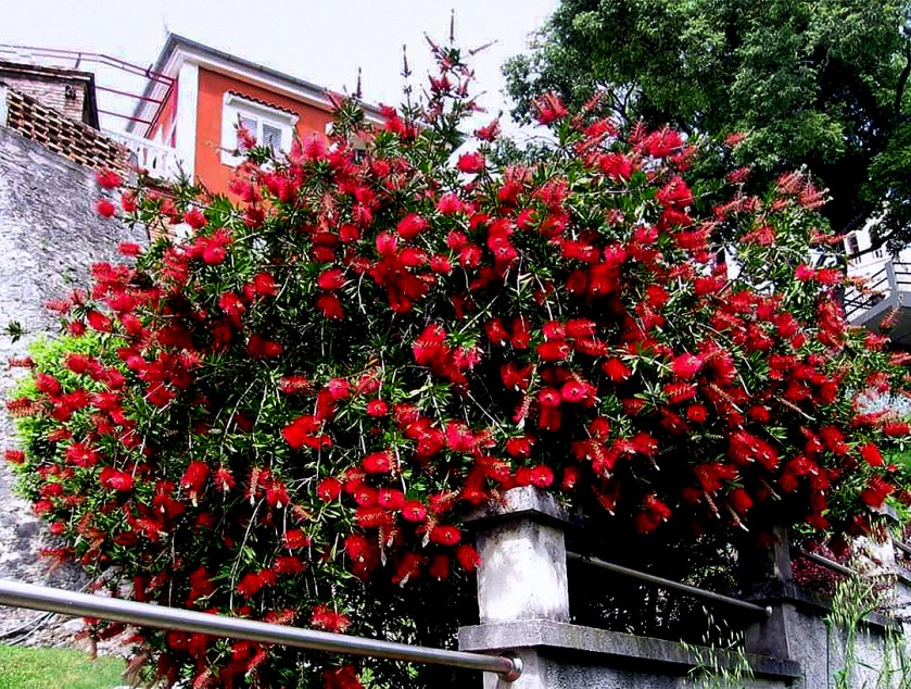 !cid_e475a6d4-05b0-48ca-8021-b87290d6741d