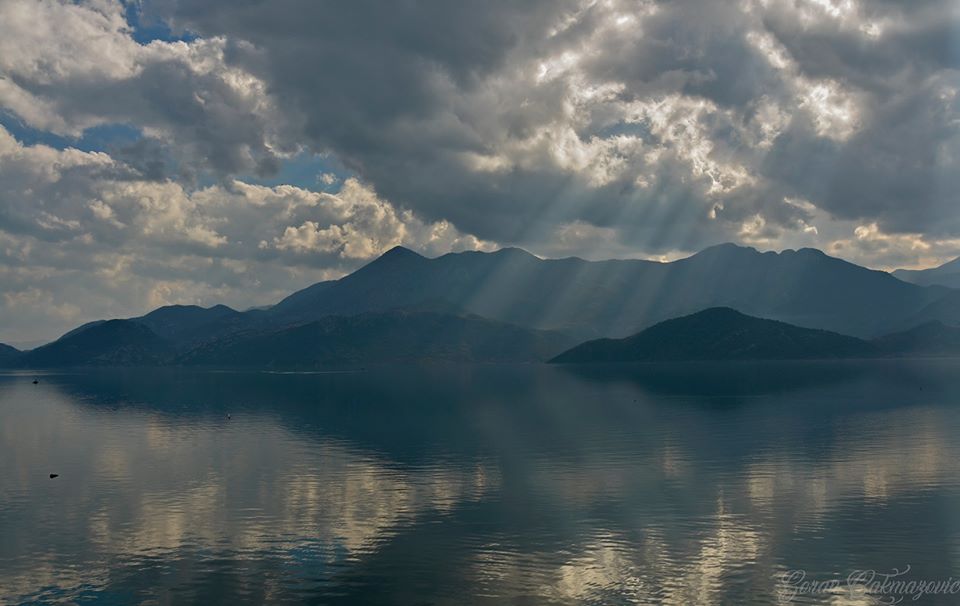 cakmazovicGoranSutormansaBiolStVranjina