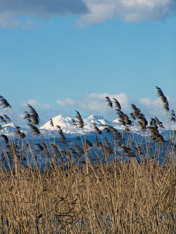 LovcenMontenegro19Jan2006 006-1