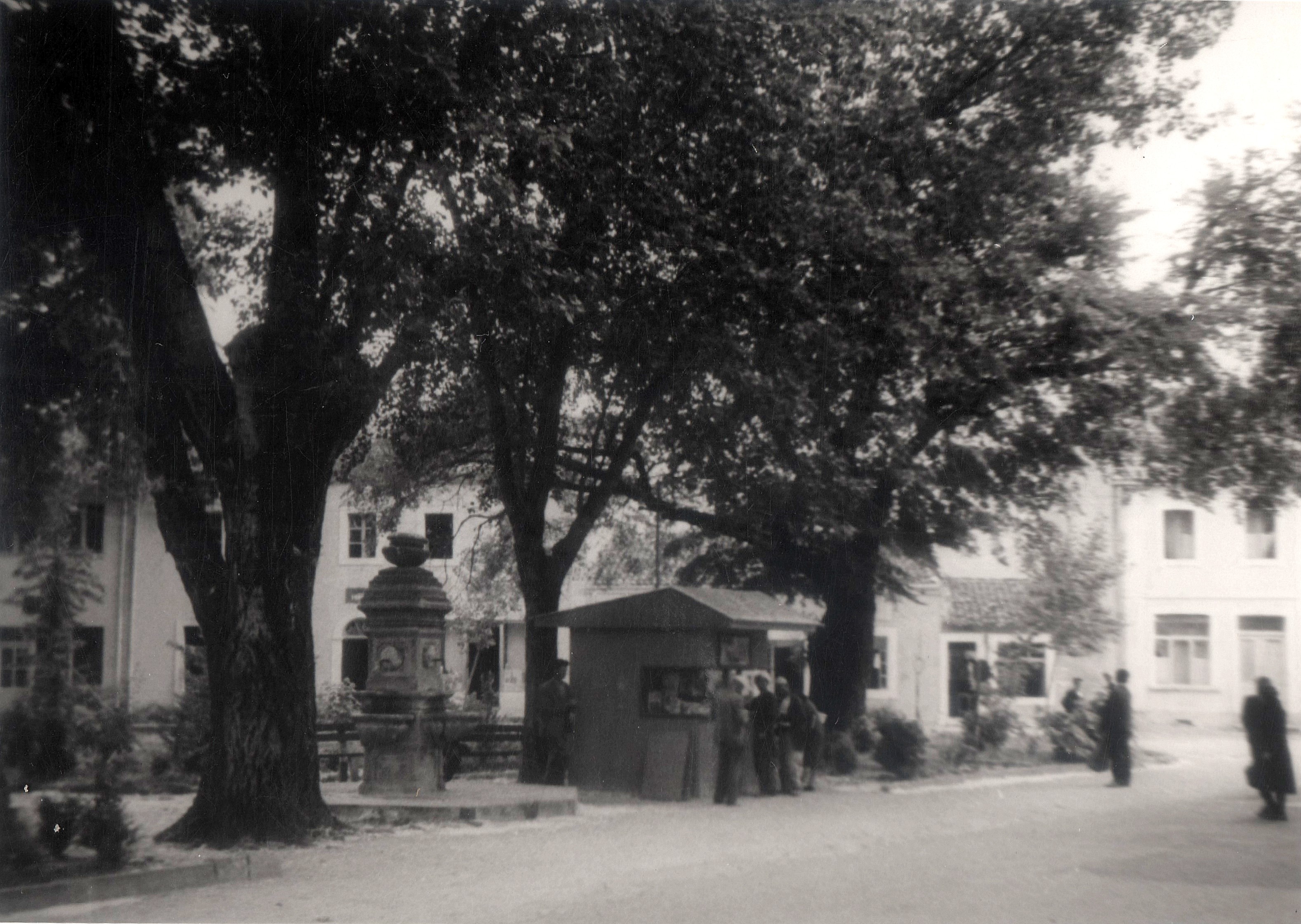 Virpazar_1967_20220615 (12)