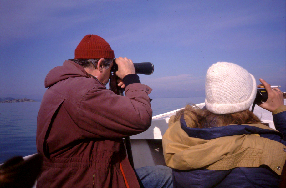 Virpazarski berberin i brojanje&nbsp;pataka